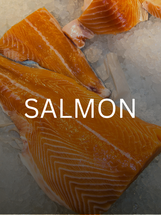 Salmon