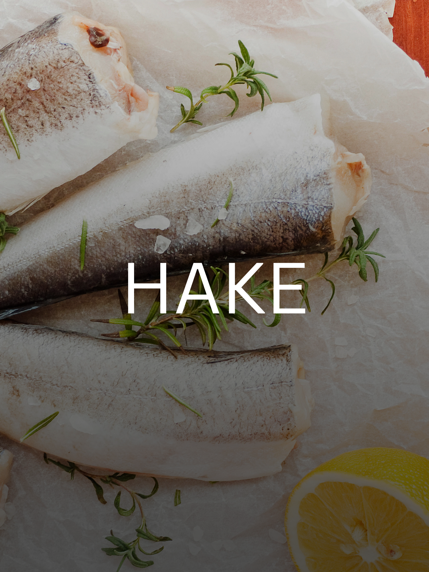 Hake